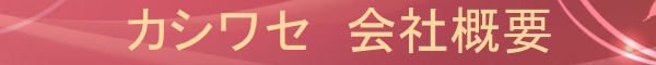쏊@ЊTv